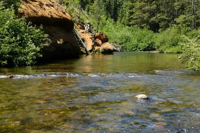 DSC_0232 (Large).JPG